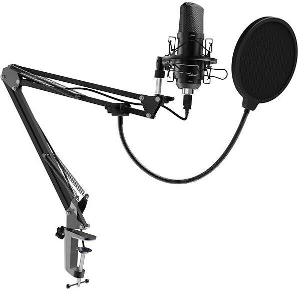 RITMIX RDM-169 черный