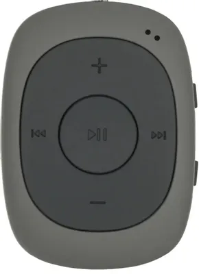 MP3 плеер Digma C2LG (серый) [367272]