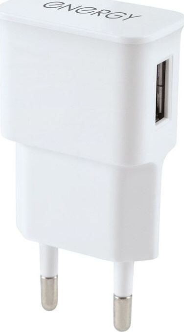Сетевое зарядное Energy ET-09 (белый)