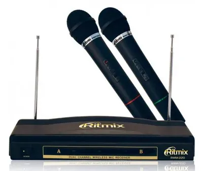 RITMIX RWM-220