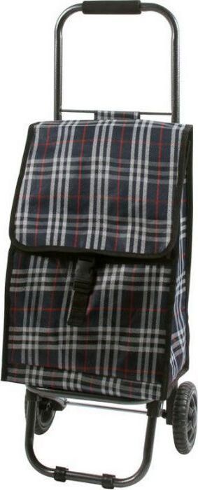 Сумка-тележка Рыжий кот D203ECO Tartan