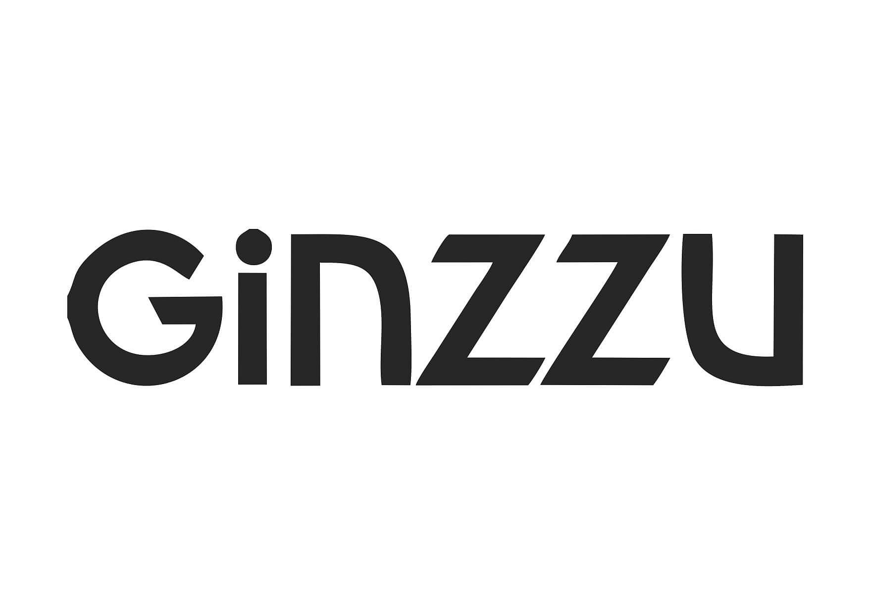 GINZZU GINZZU