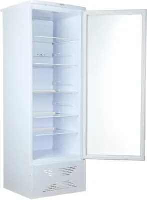 Бирюса 310