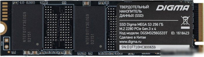 Digma Mega S3 256GB DGSM3256GS33T