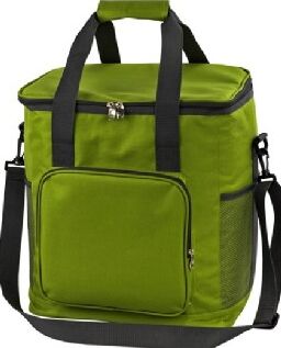Термосумка Green Glade T1063 34л