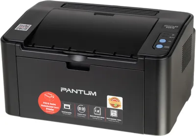 Pantum P2516
