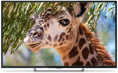 Телевизор POLARLINE 50PU11TC-UHD-SMART