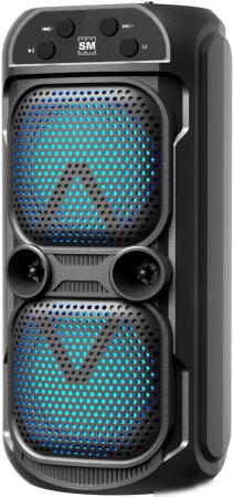 SOUNDMAX Портативное аудио SM-PS5039B(чёрный)